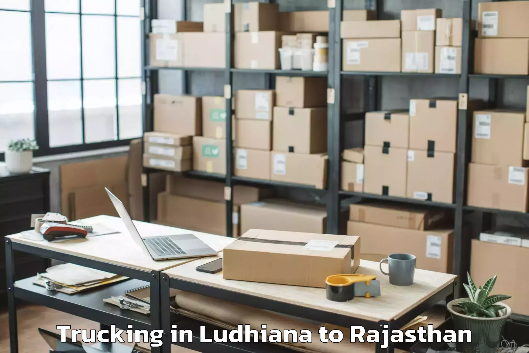 Easy Ludhiana to Nims University Jaipur Trucking Booking